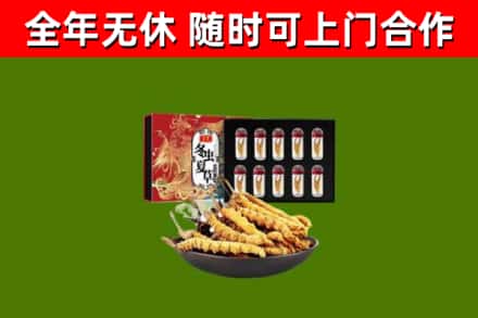 陵水回收冬虫夏草价格