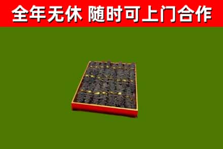 陵水回收海参